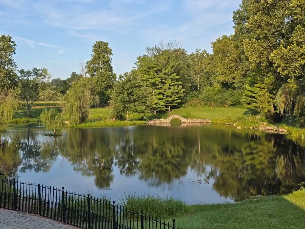 View of the Main Pond from the Patio